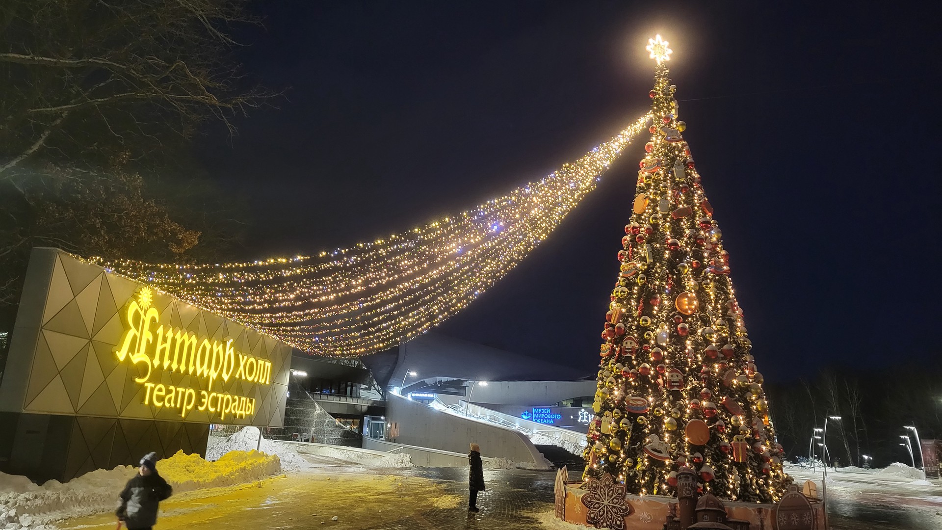Новогодний Светлогорск – foto 1 de 8